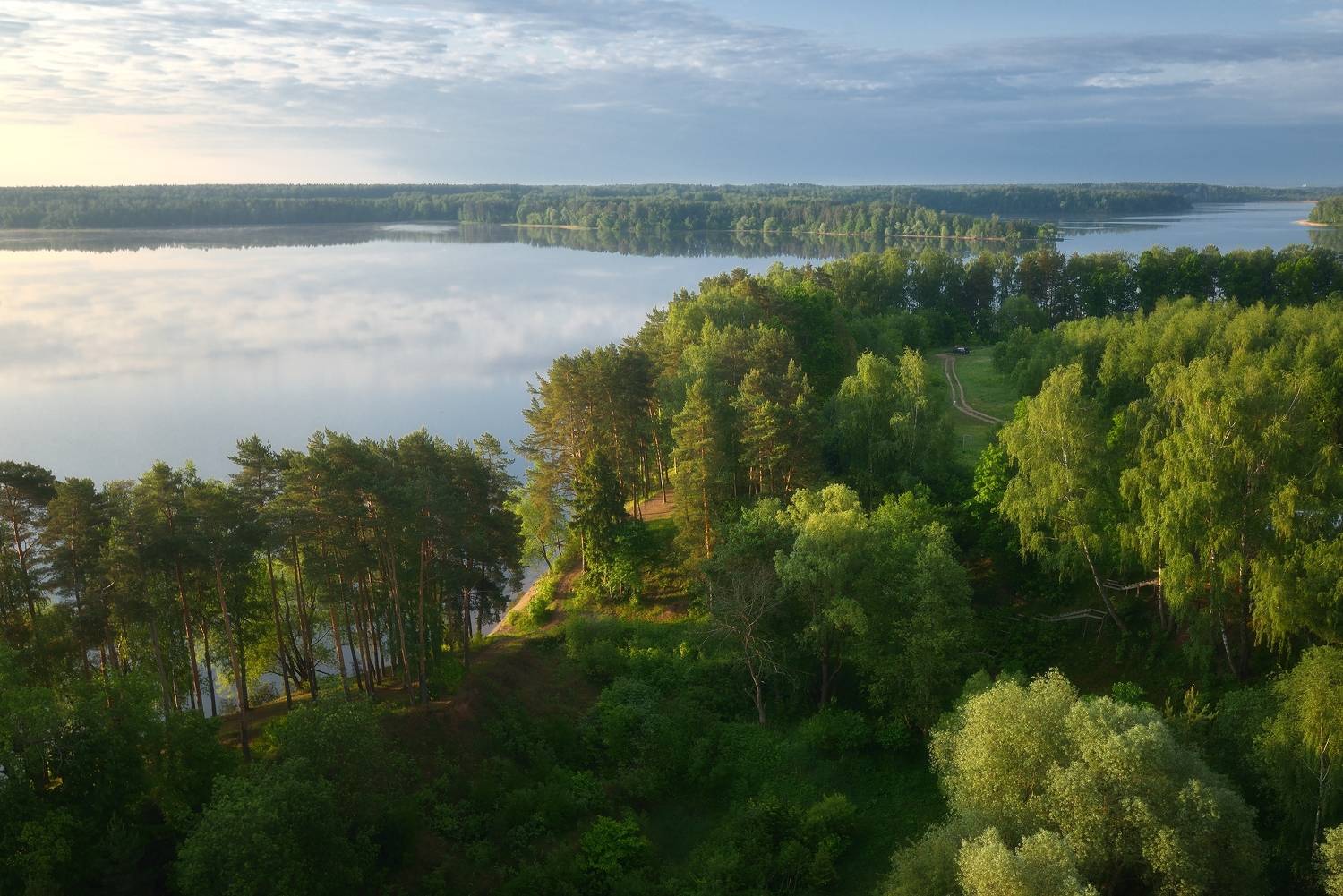 , Алексей Никонов