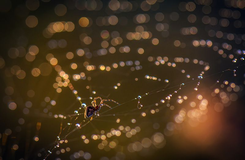 где-то в галактике \\\