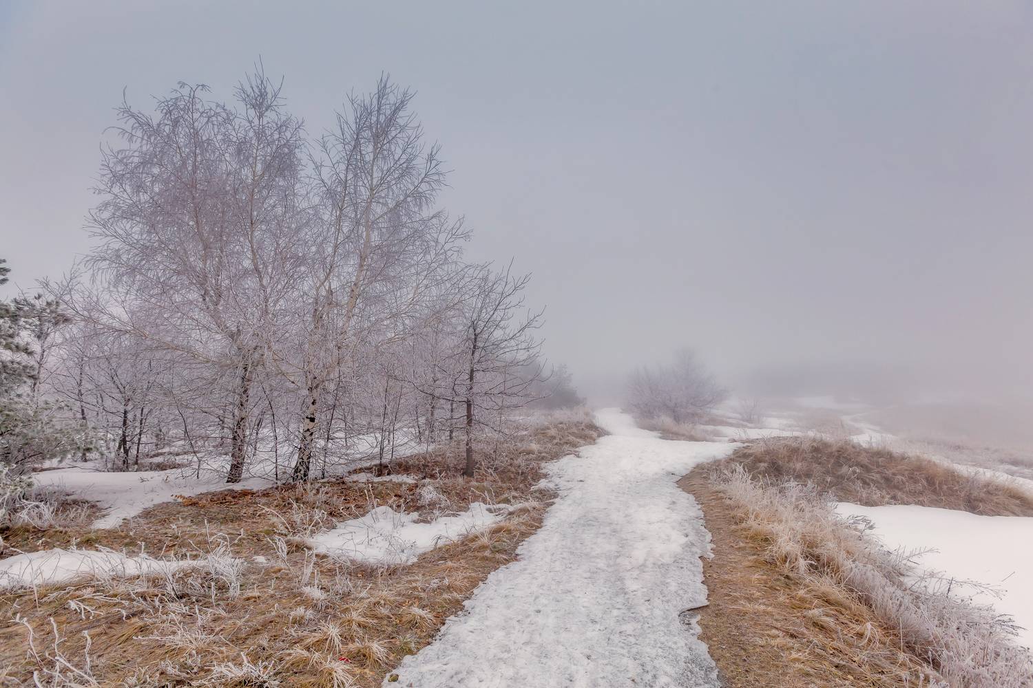 , Подосинников Максим