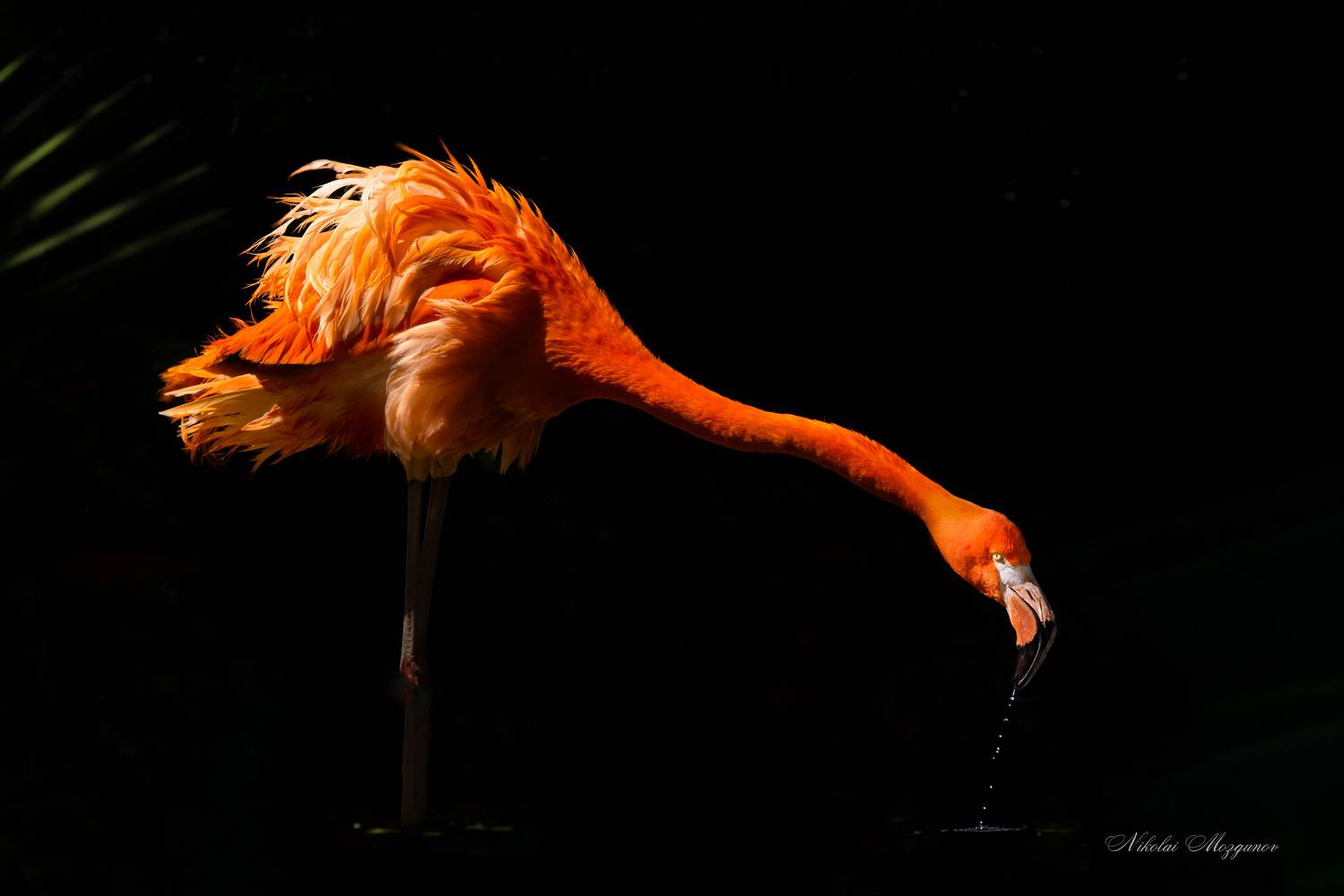 , Николай Мозгунов