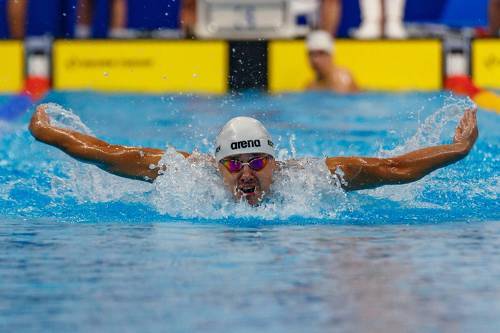 Расправив крылья