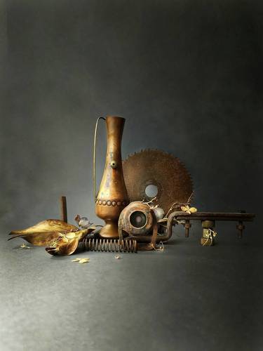 Still Life