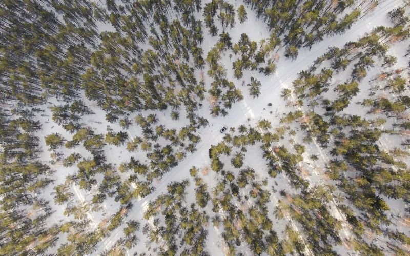 #harjumaa #kõnnusuursoo #eesti #estonia #swamp #eestirabad #bog #bogs #nature #loodus #eestiloodus #ilusadeestipaigad #hikingtrails #hikingtrail #winterwonderland #wintertrail #nature_of_estonia #dronephotography #drone #dji #djiphotography #estoniafroma --- фото превью