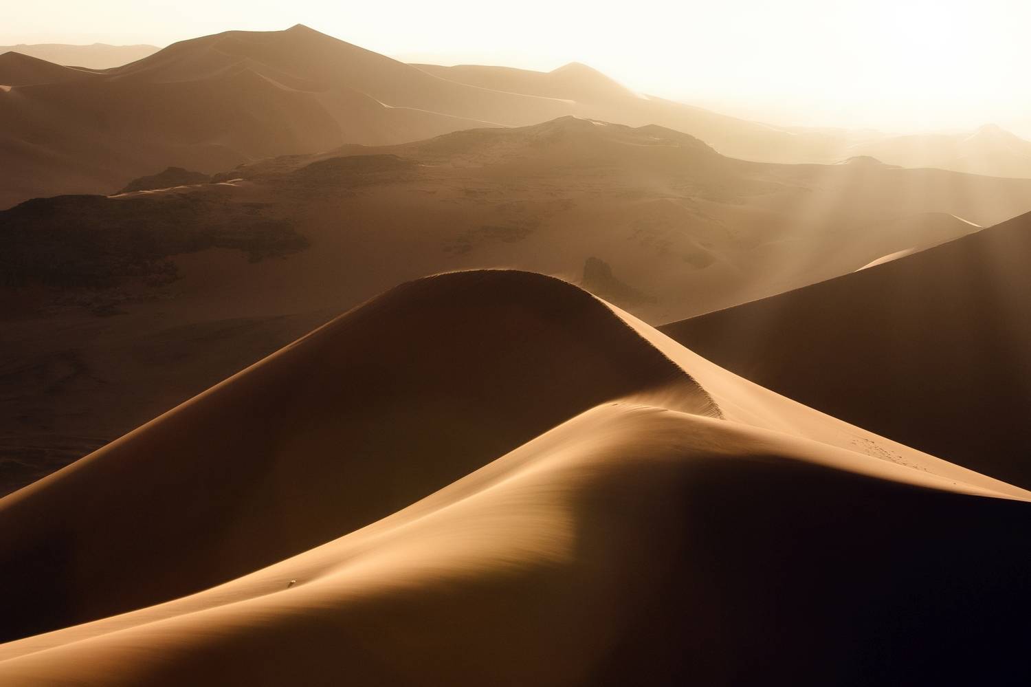 алжир, Алексей Мараховец