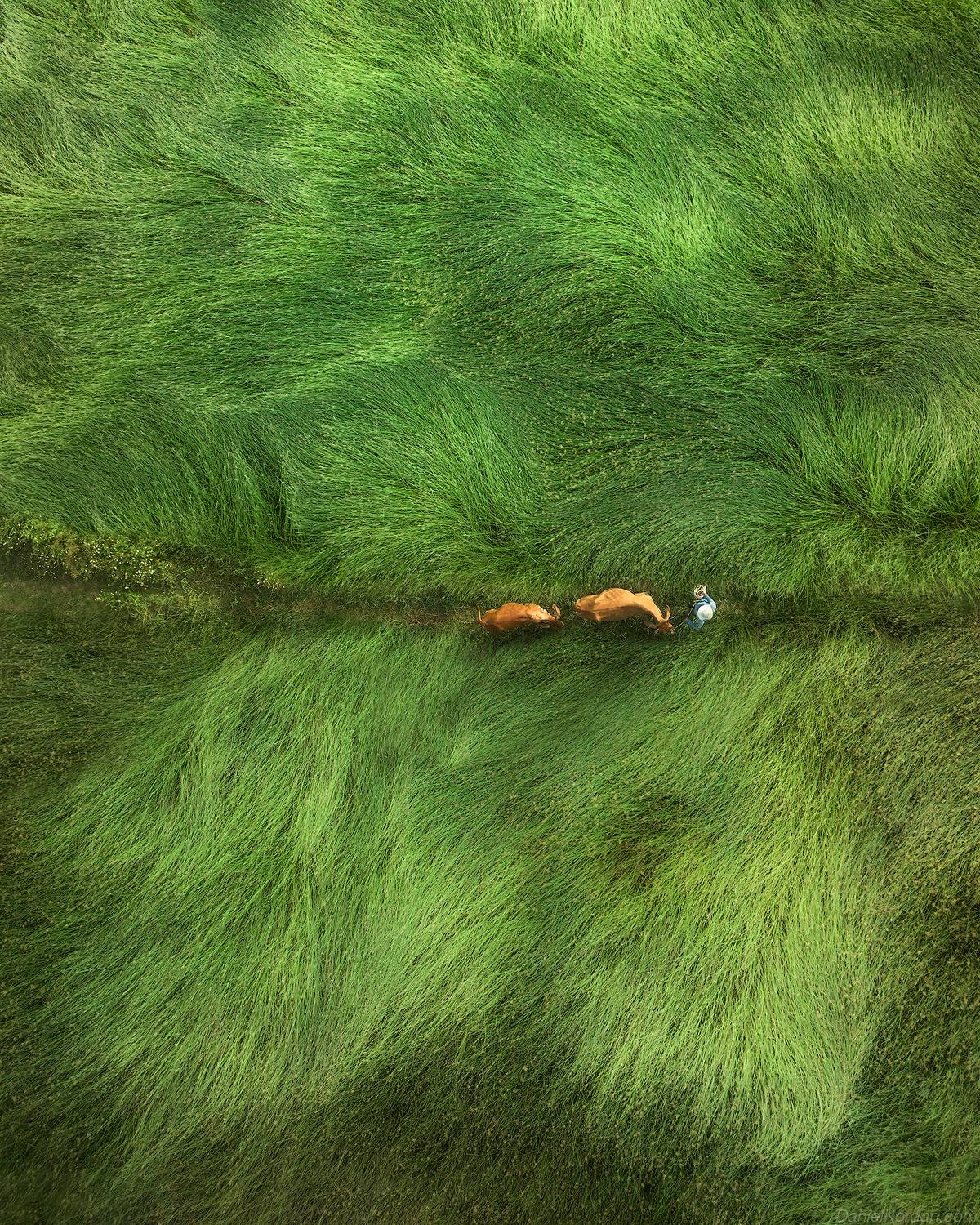 , Даниил Коржонов