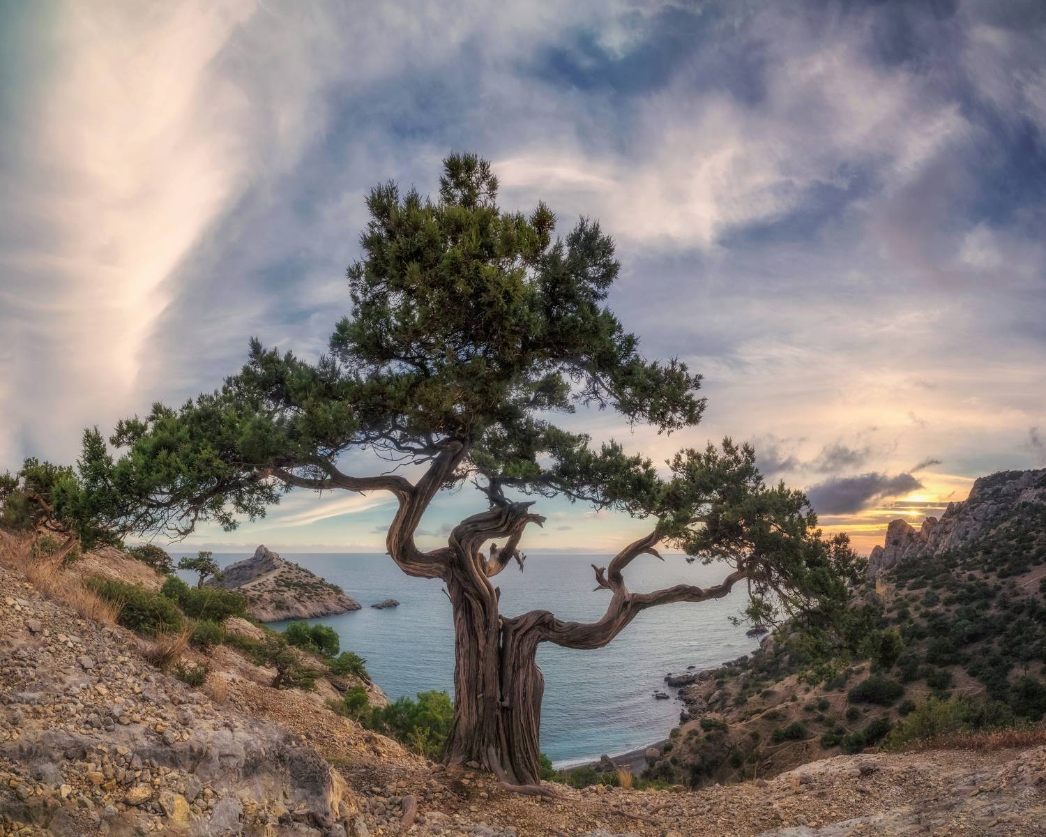 крым, новый свет, пейзаж, море, горы, crimea, landscape, Дмитренко Екатерина