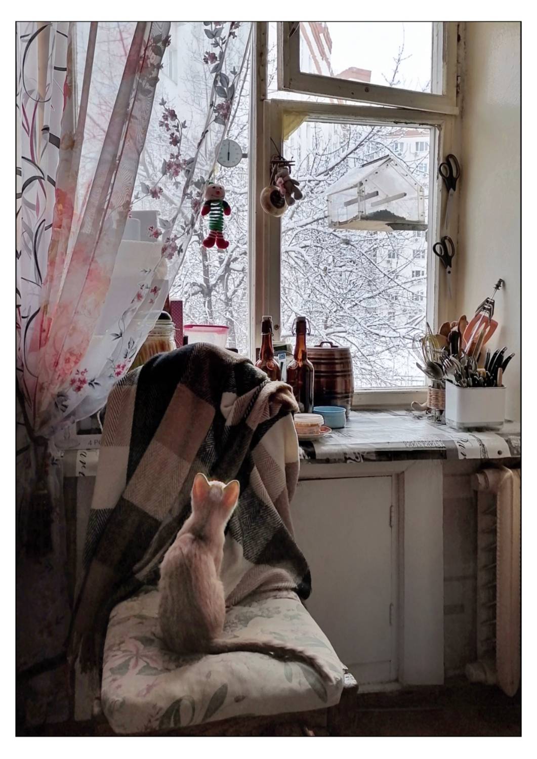 , Герасимова Алёна