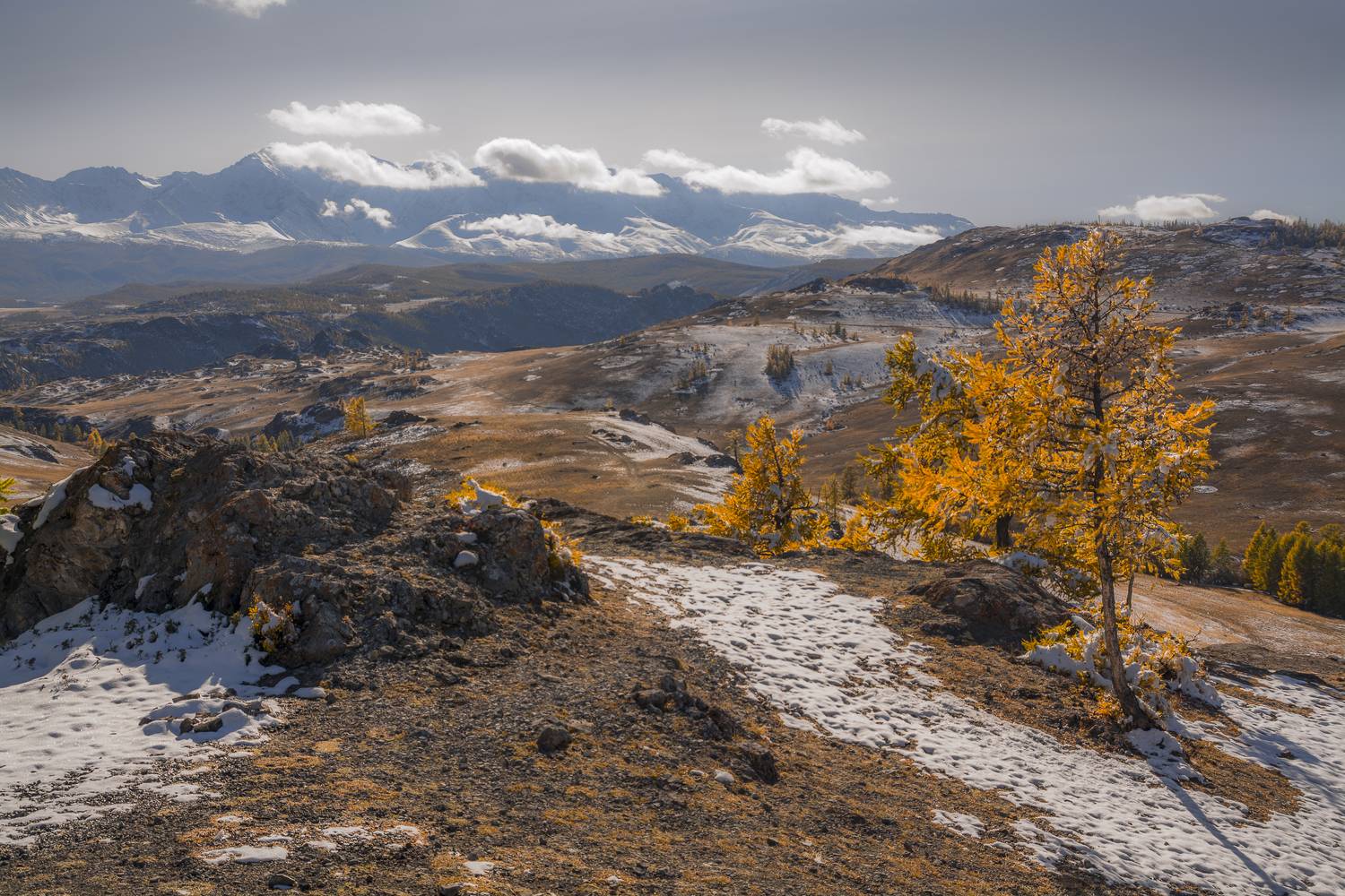 россия, горный алтай,осень, Андрей Поляков