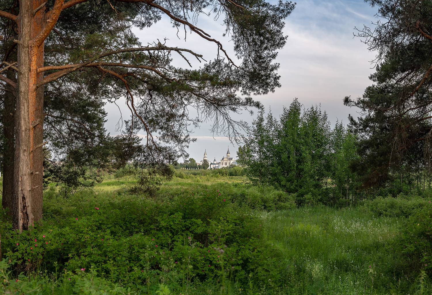 лес, церковь, заросли, сосна, Анкудинов Леонид