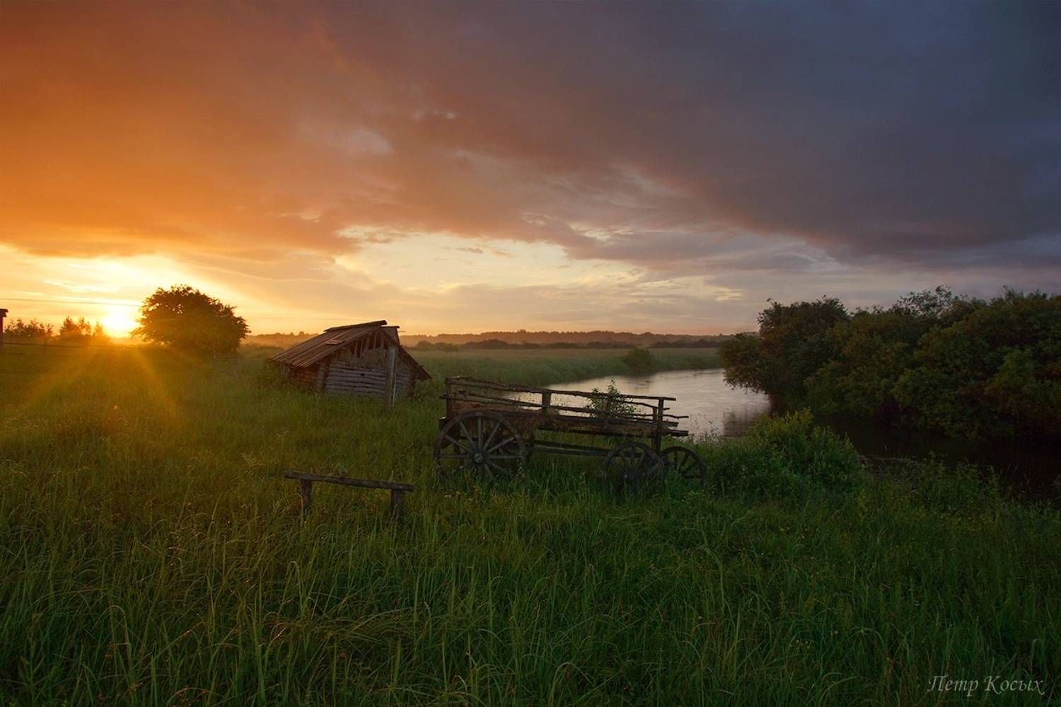 , Петр Косых