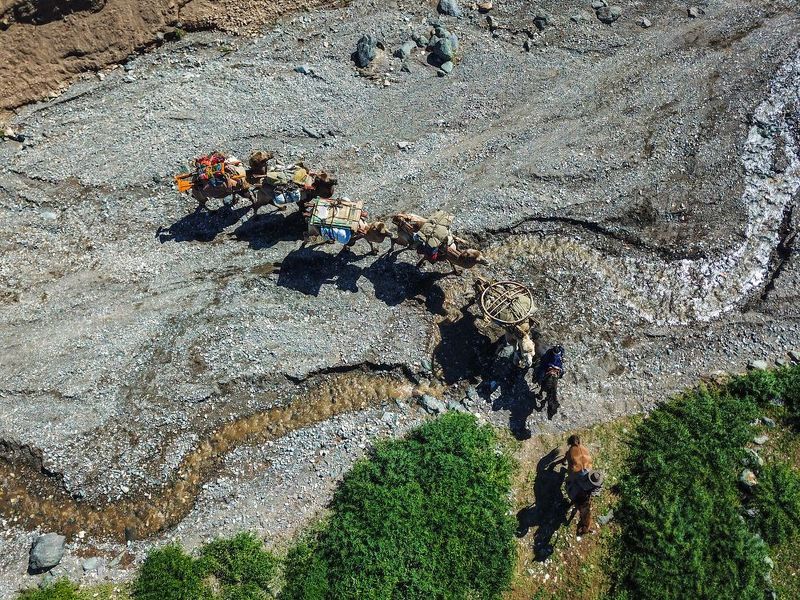 Khovd Camel migration фото превью
