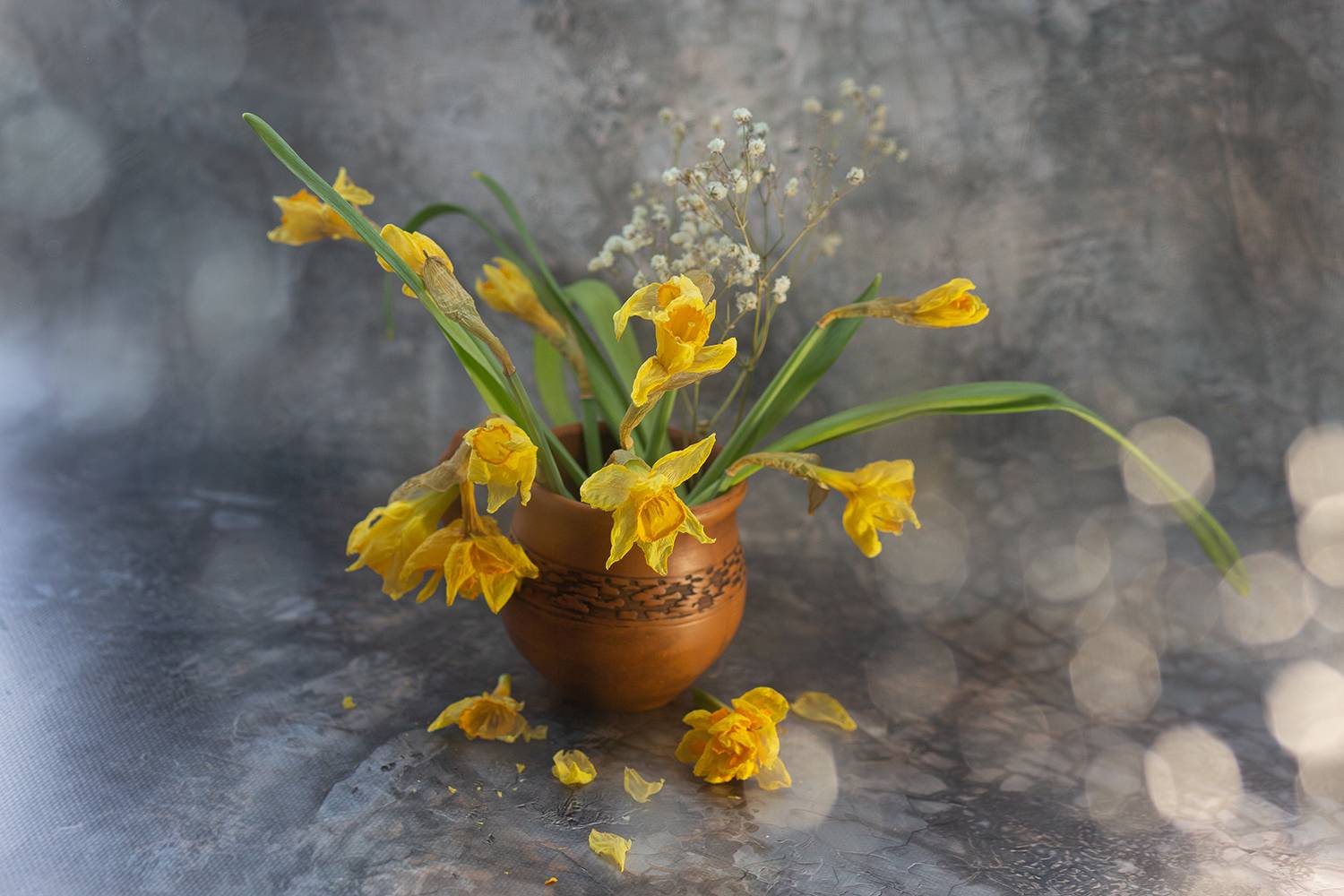 нарциссы, букет, Наталия Колтакова