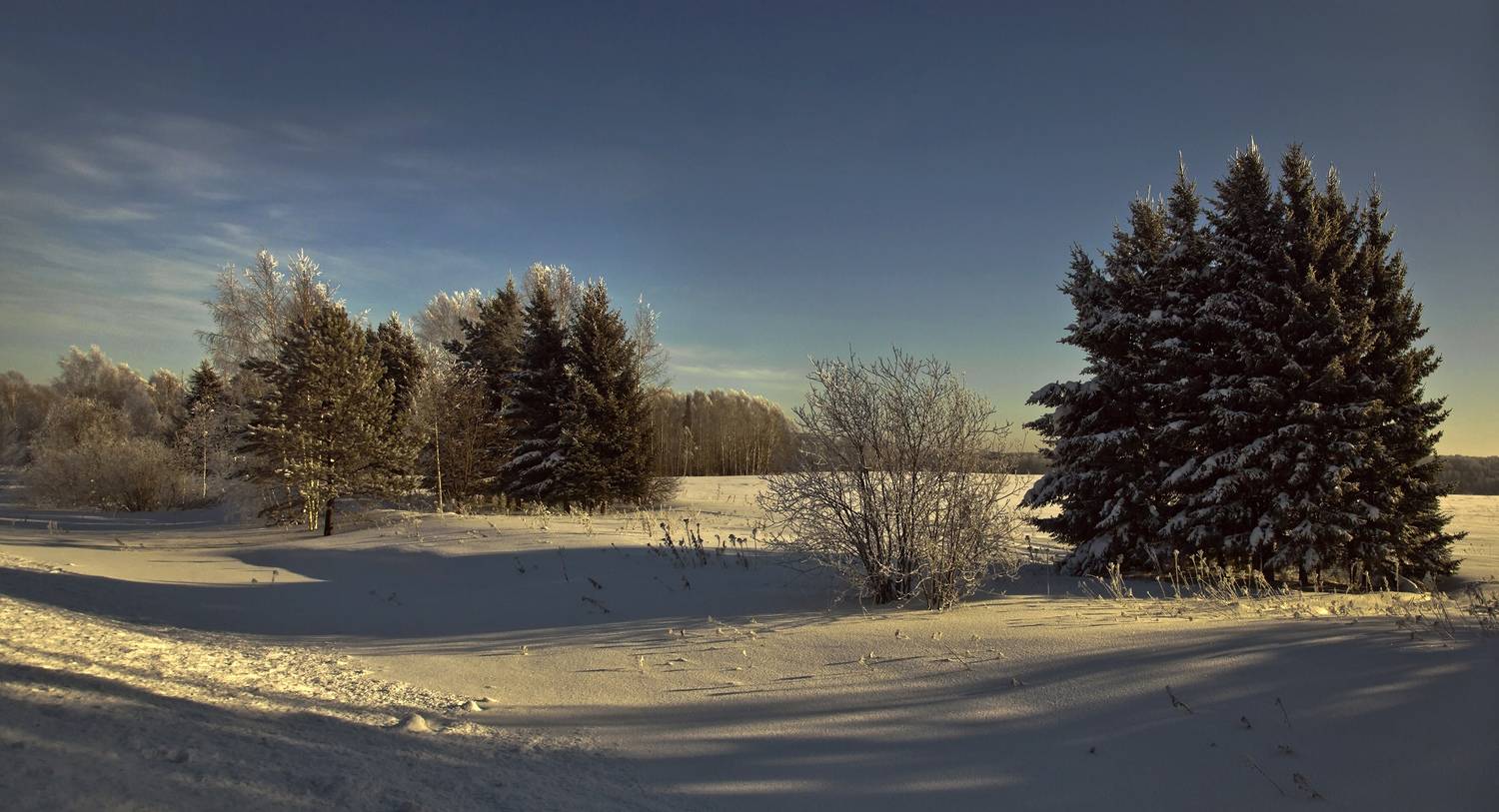 , Алексей Хахлов