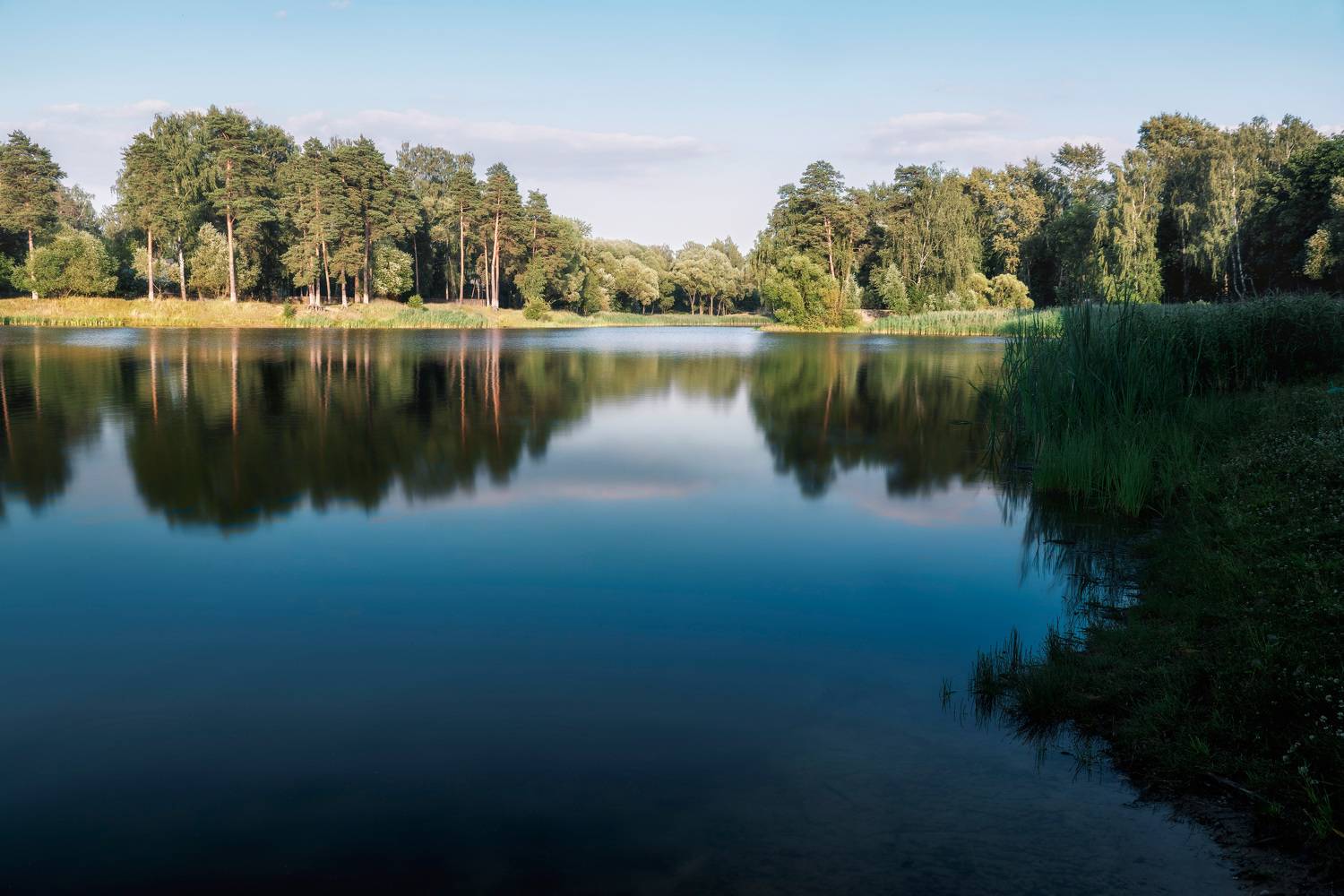 пруд, отражения, лес, Валерий Вождаев