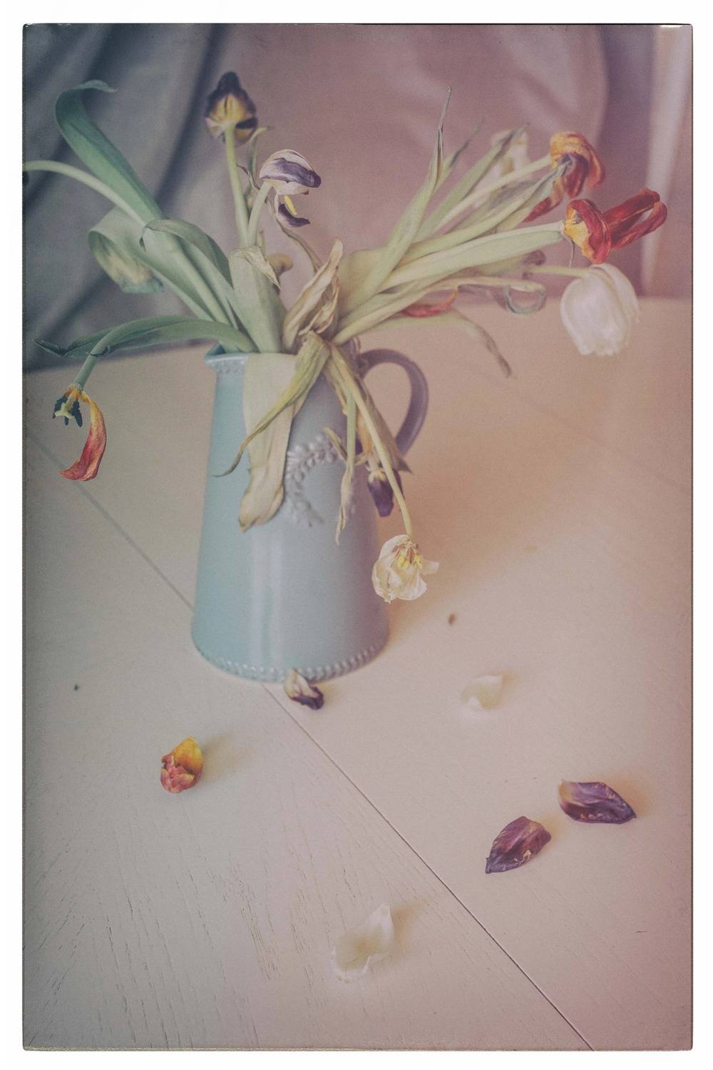 , Рыбаков Илья