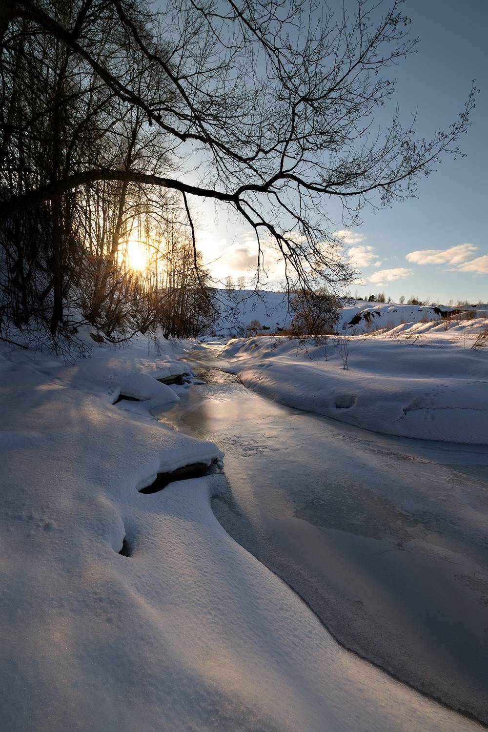 , Стрельцов Виталий
