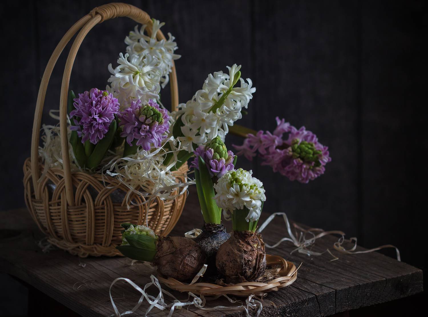 , Хвойнова Елена