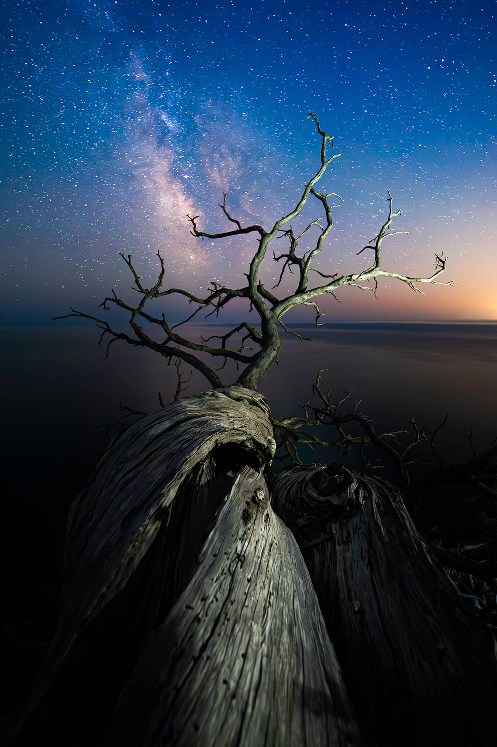 , Васильева Дарья