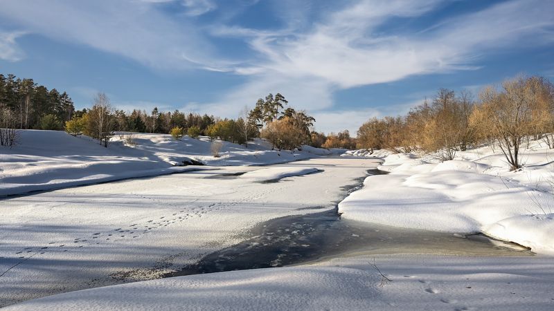 март фото превью