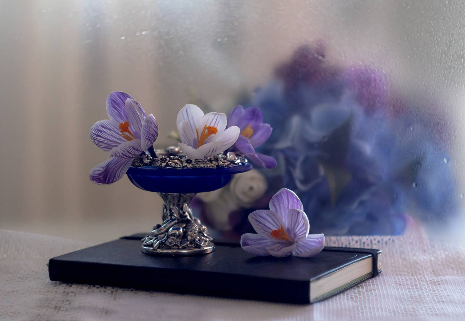 натюрморт,декор,крокусы,март,весна,макро,цветы,флора,антонина яновска,ваза,canon eos m 50,, Антонина Яновска
