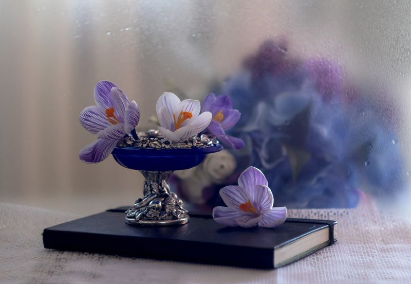 Мартовские крокусы фото превью