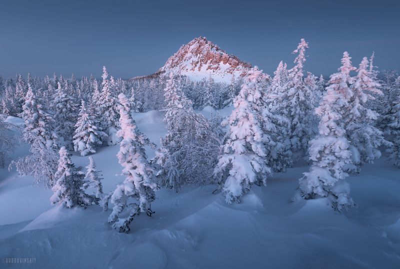 таганай, южный урал, елки, рассвет, иней, снег, зима, откликной гребень. Откликной гребень фото превью