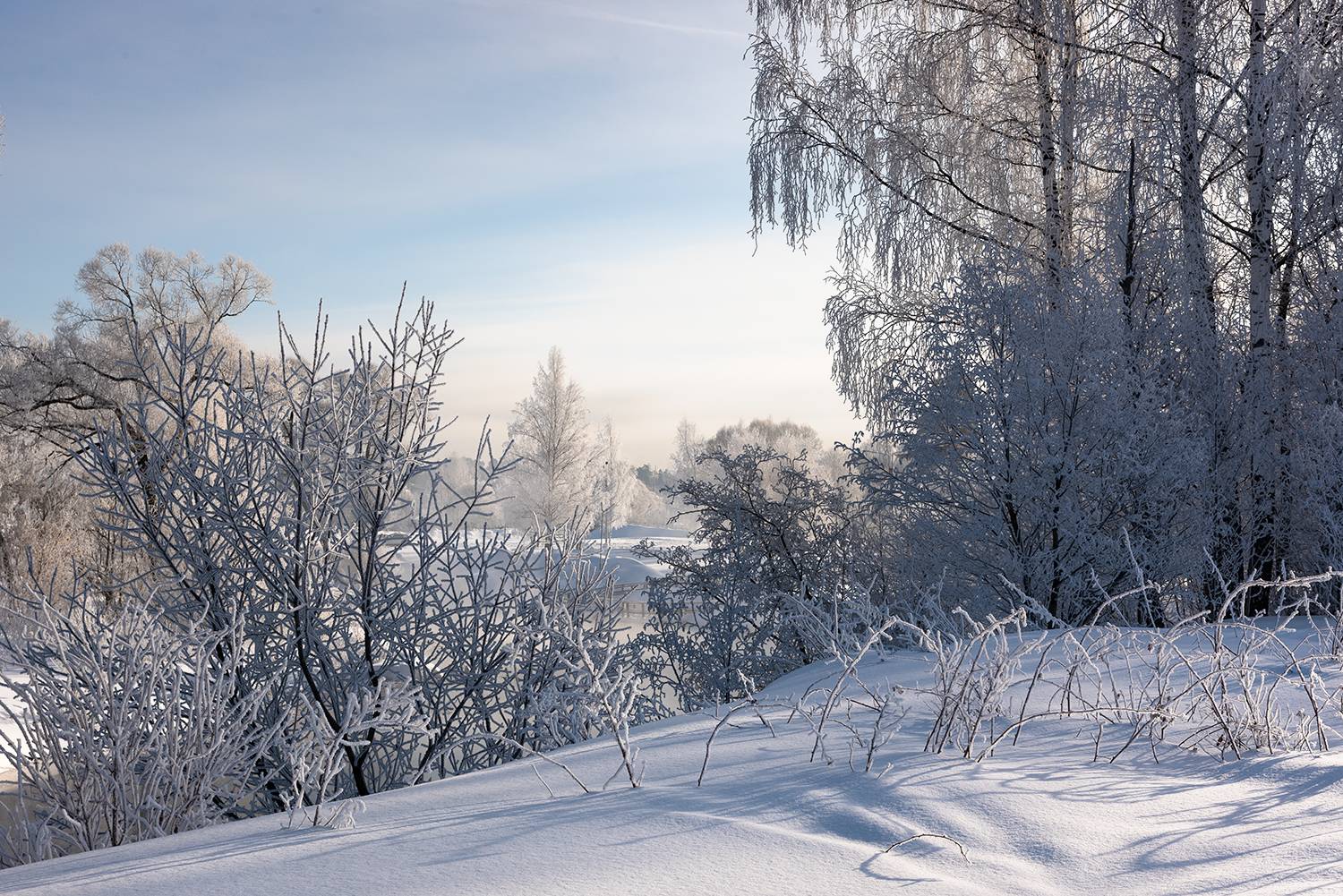 , Дмитрий Асеев