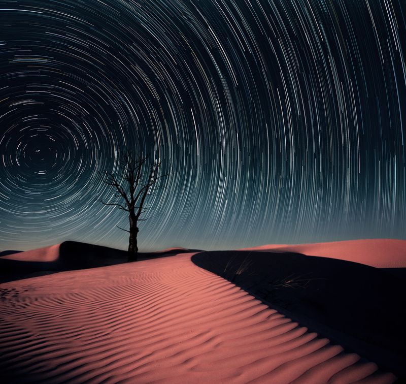 desert, tree, startrails, stars, night, sky * фото превью