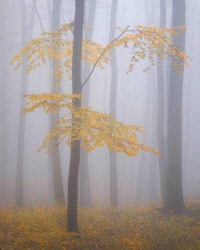 Autumn mood
