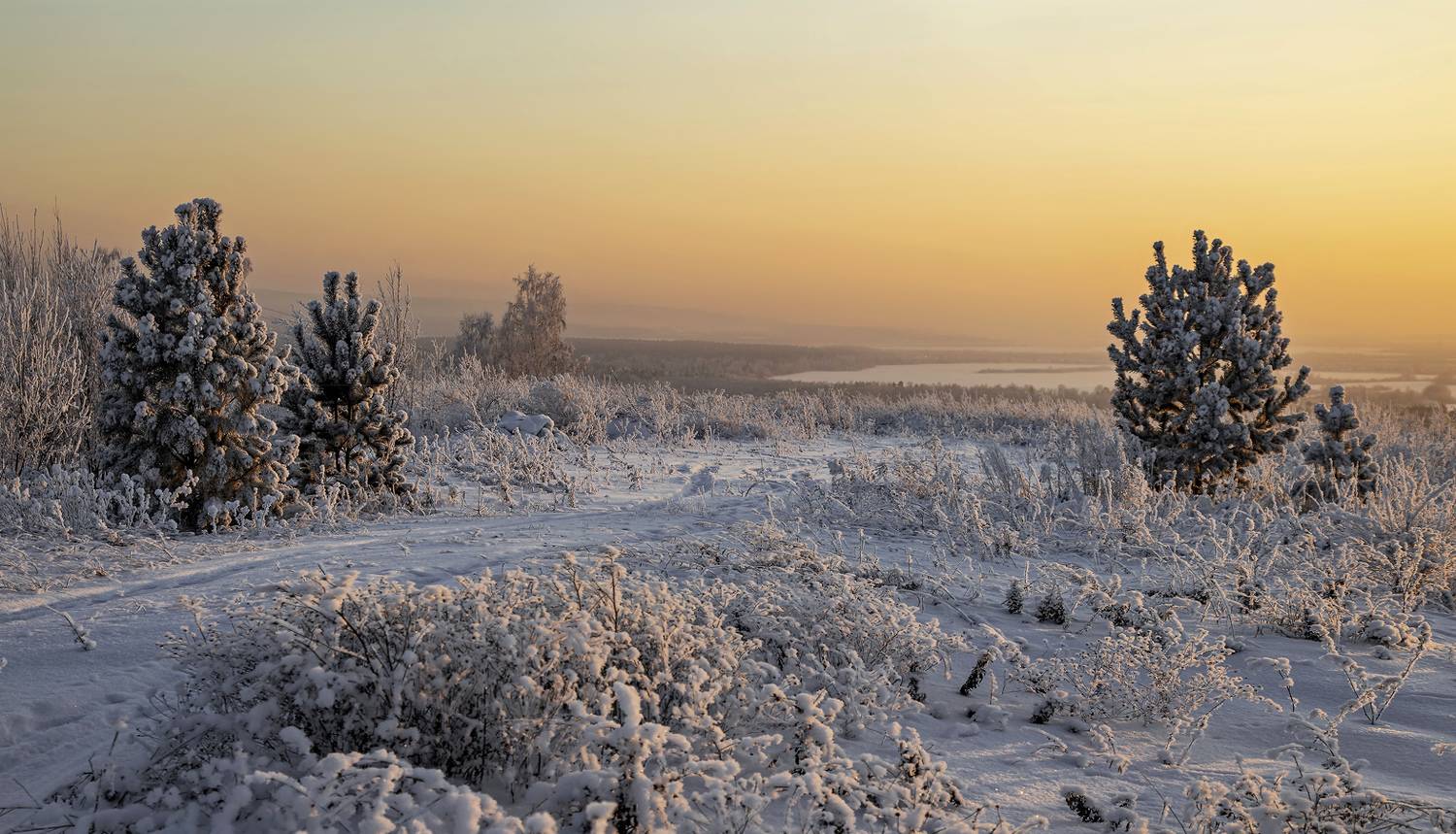 , Алексей Хахлов