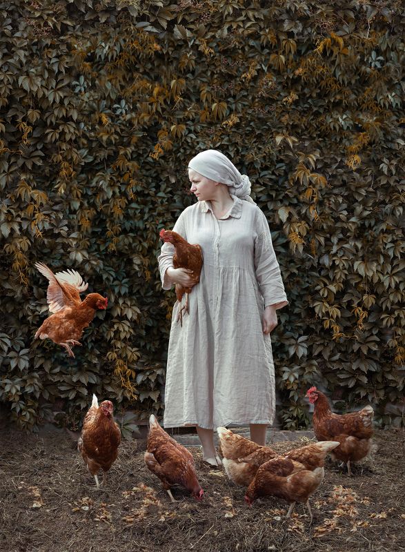 Птичница фото превью