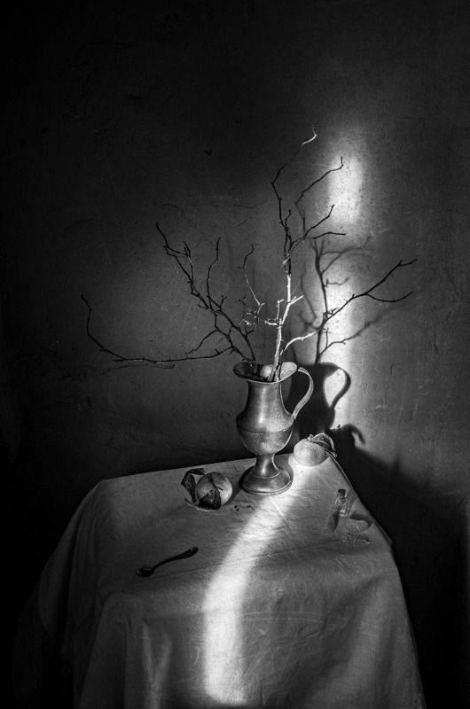 свет, тень, натюрморт, луч света Игра света фото превью