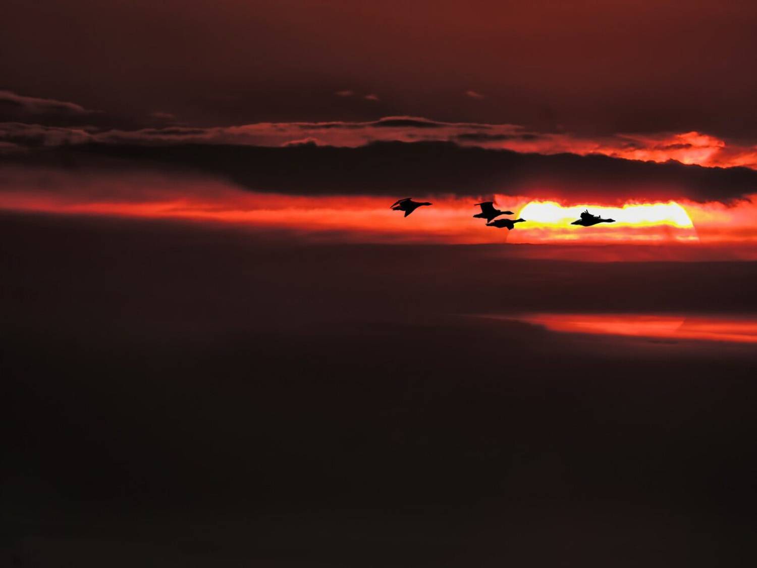 , Савоцкий Роман