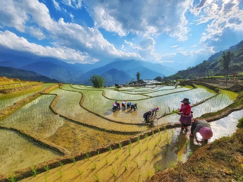 Farm Life фото превью