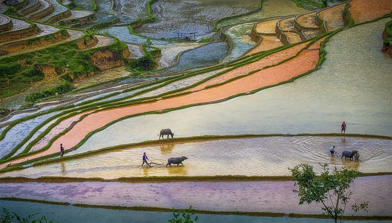 Man and Landscape фото превью
