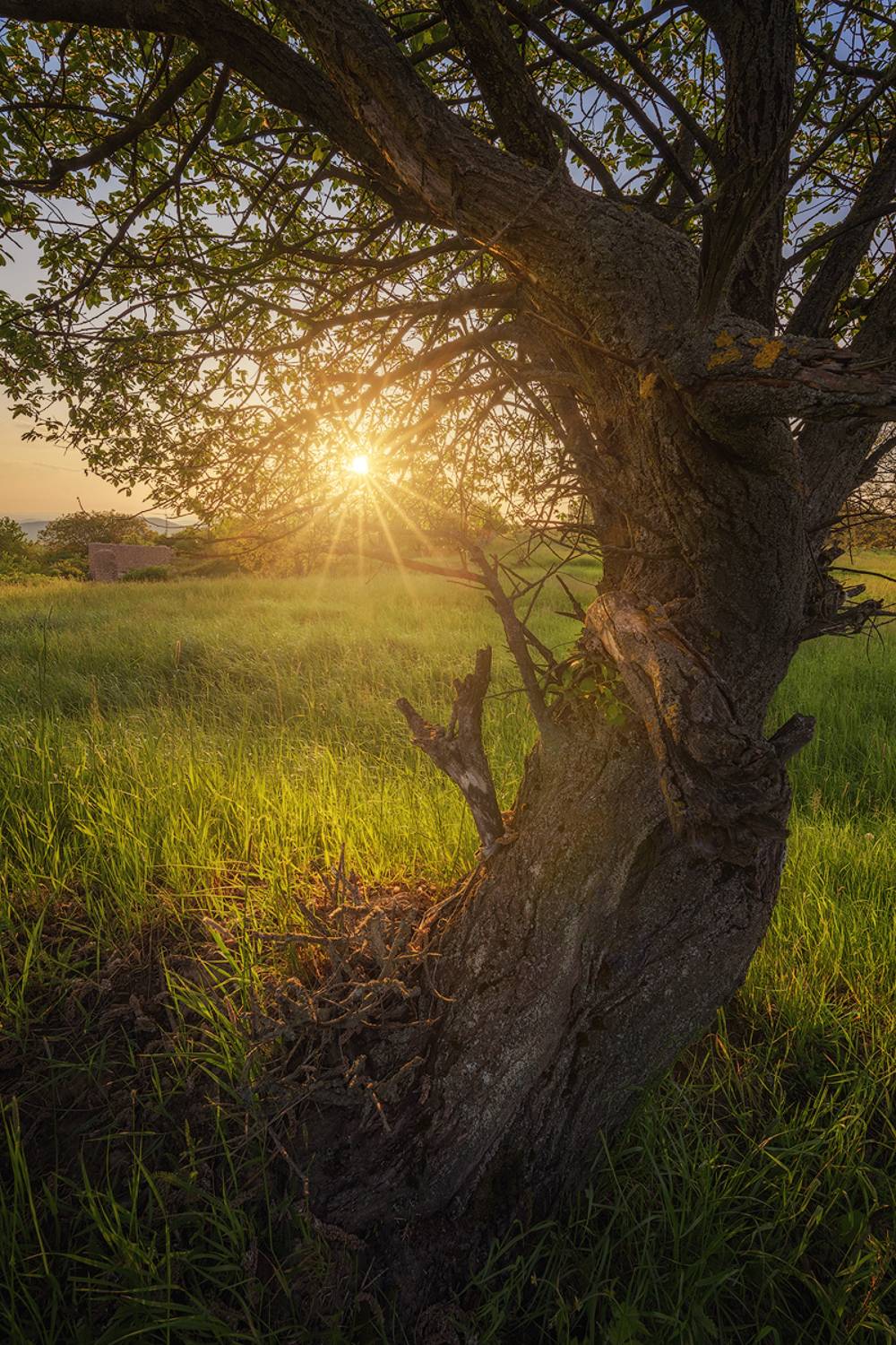 sunset, landscape, afternoon, Patrick