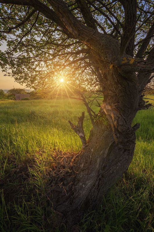 sunset, landscape, afternoon Afternoon light фото превью