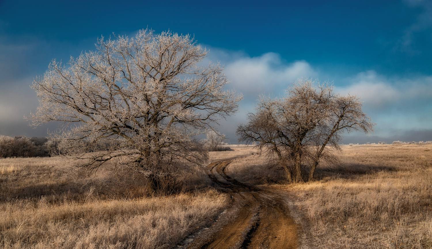 , Подосинников Максим