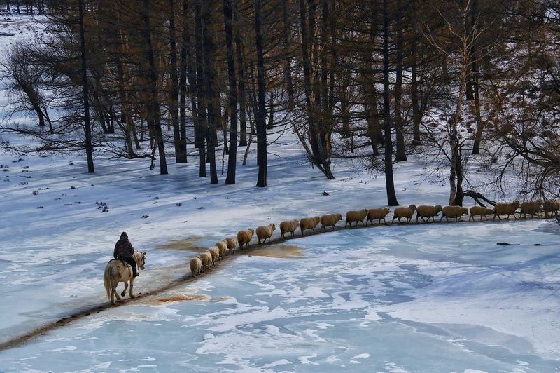 фото превью
