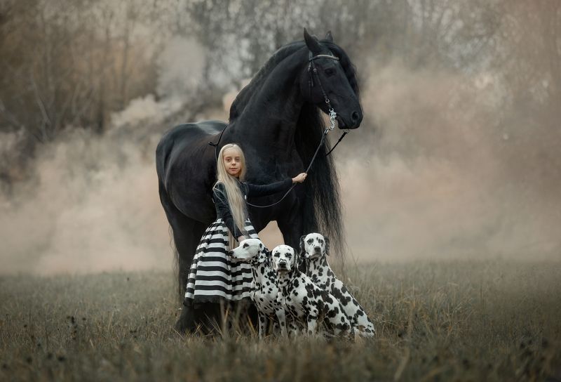 *** фото превью