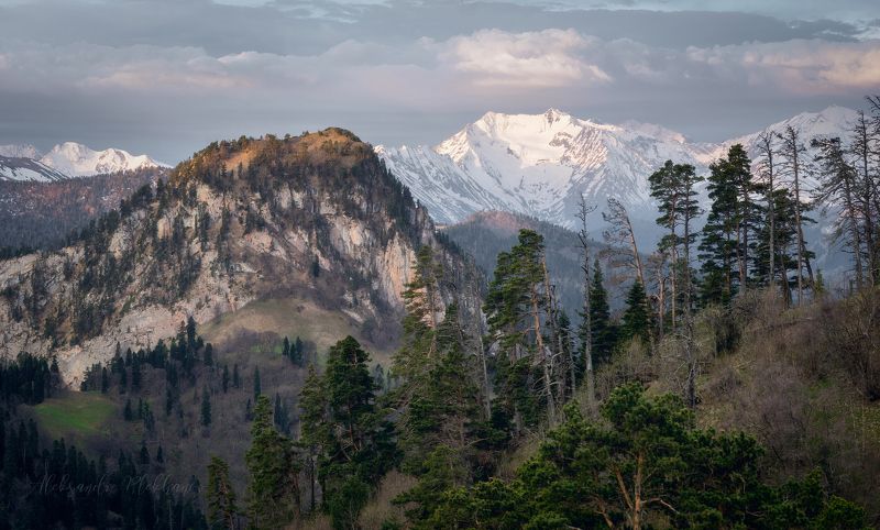 Майское утро фото превью