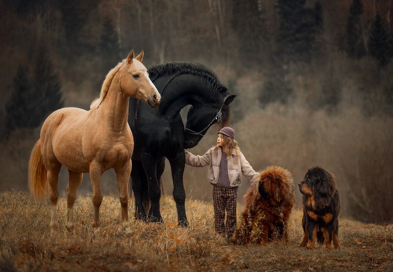 The World without gadgets фото превью