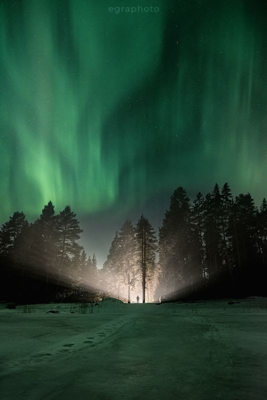 ленинградская область, россия Дождался фото превью