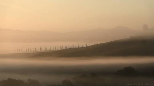 Тихое туманное утро. | пейзажный фотограф
