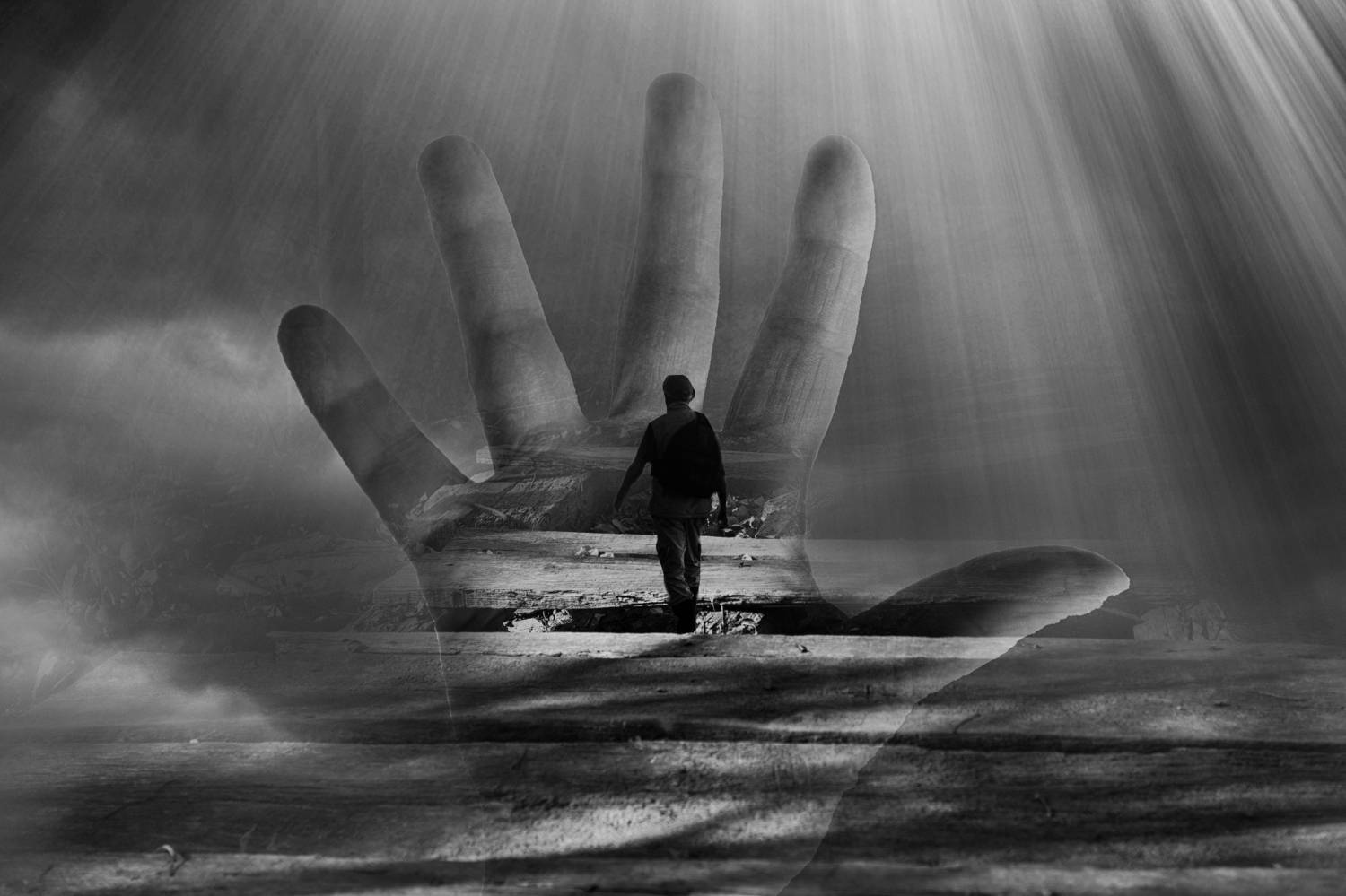 , Мариана Добрева