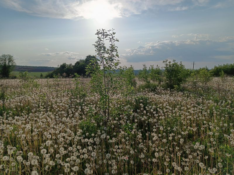 фото превью