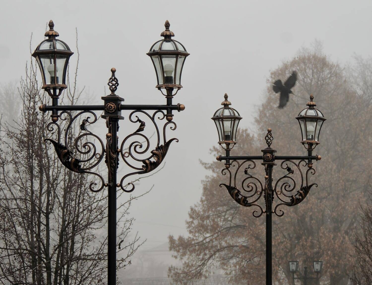 , Савоцкий Роман