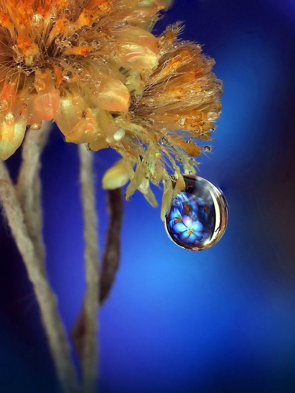 Отражение фото превью