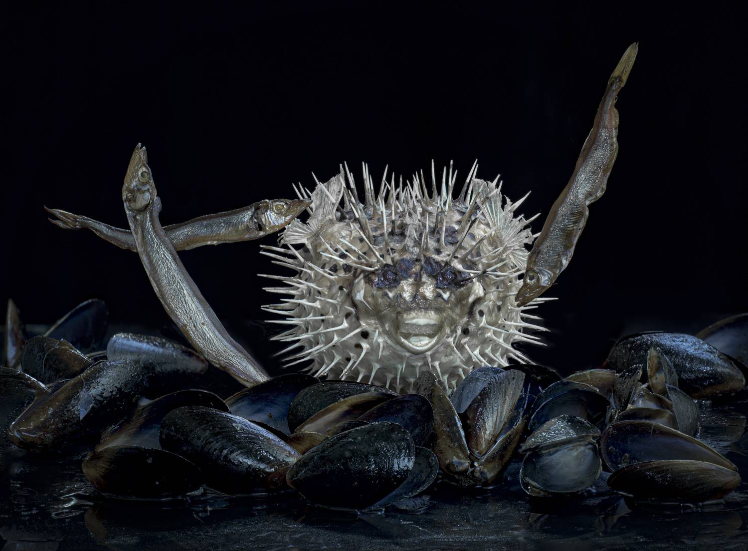 , Черновол Валентин