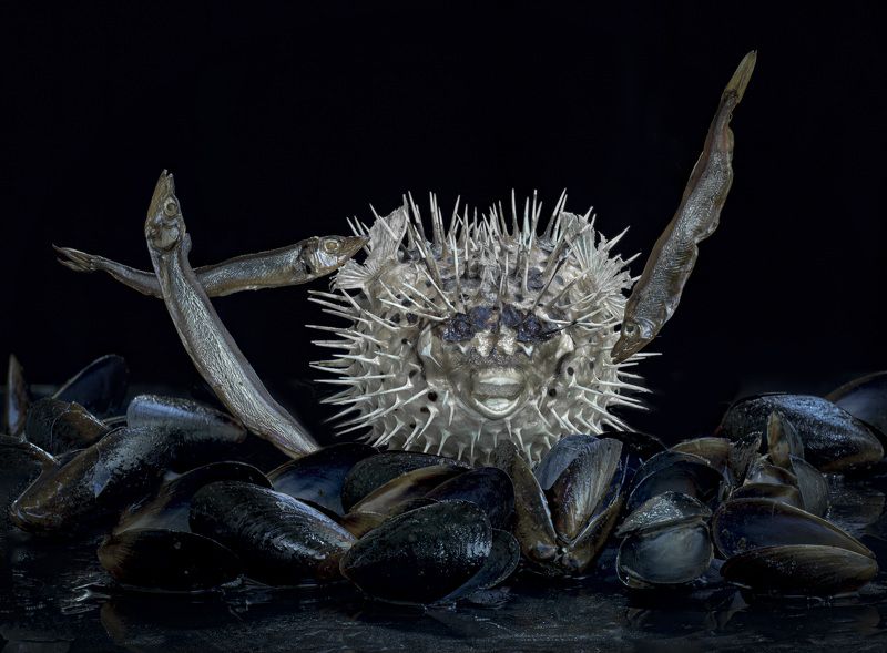 фото превью